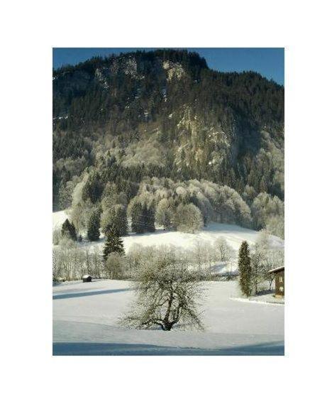 Falkenstein-Wohnung-4-Haus-B Oberstdorf Zewnętrze zdjęcie